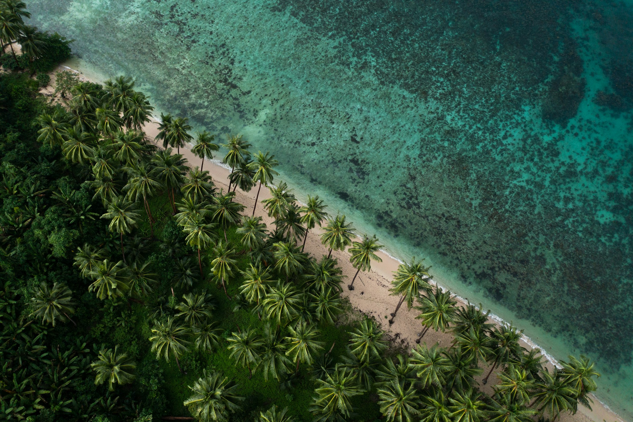 Tropical white-sand beach and turquoise water — the coastal holiday style FunFlights books in Mombasa, Diani and Malindi.
